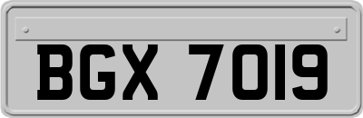 BGX7019