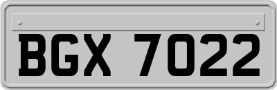BGX7022