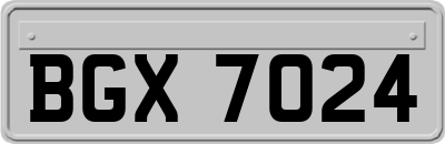 BGX7024