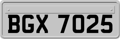 BGX7025
