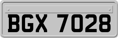BGX7028