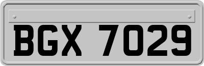 BGX7029