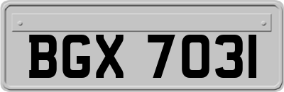 BGX7031
