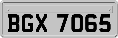 BGX7065