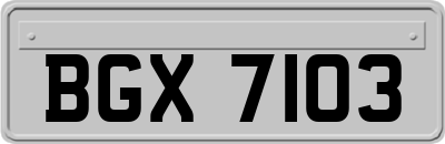 BGX7103