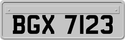 BGX7123