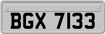 BGX7133