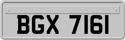 BGX7161