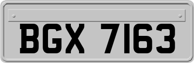 BGX7163