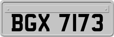 BGX7173