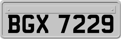 BGX7229