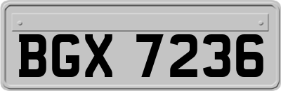 BGX7236