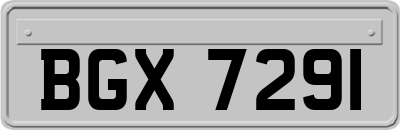 BGX7291