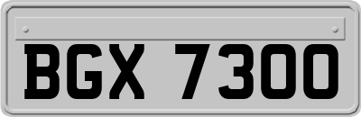BGX7300