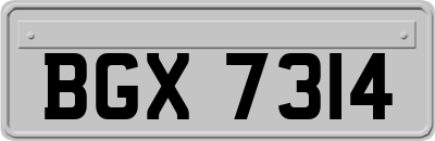 BGX7314