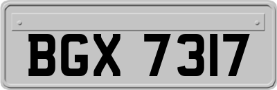 BGX7317