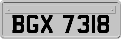 BGX7318