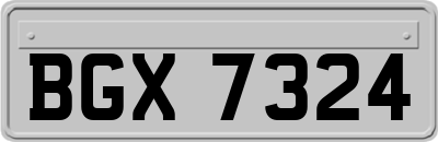 BGX7324