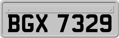 BGX7329