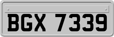 BGX7339