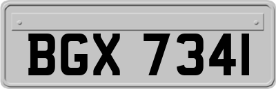 BGX7341