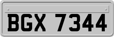 BGX7344
