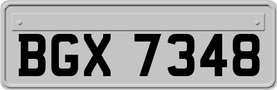 BGX7348