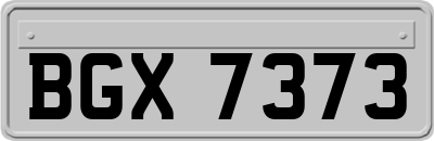 BGX7373