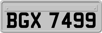 BGX7499