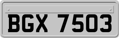 BGX7503