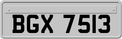 BGX7513