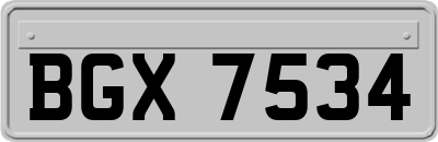 BGX7534
