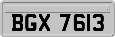 BGX7613