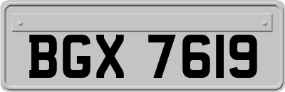 BGX7619