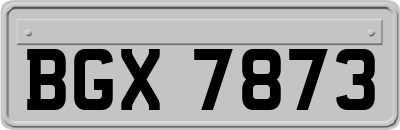 BGX7873