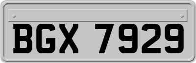 BGX7929