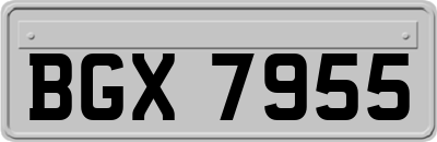 BGX7955