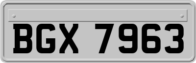 BGX7963