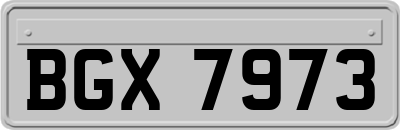 BGX7973
