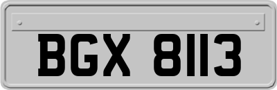 BGX8113