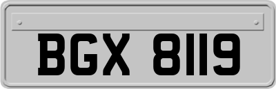 BGX8119