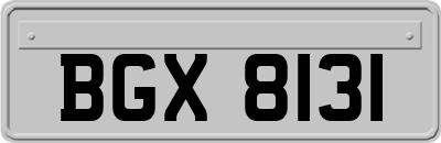 BGX8131