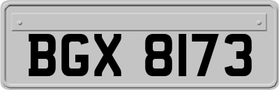 BGX8173