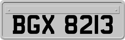 BGX8213