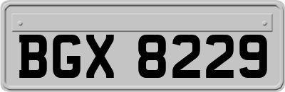 BGX8229