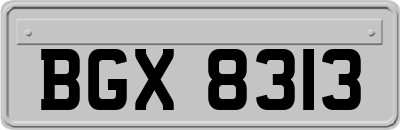 BGX8313