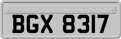 BGX8317