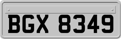 BGX8349