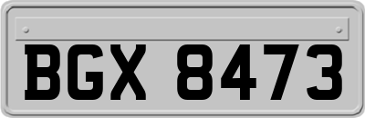 BGX8473