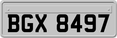BGX8497
